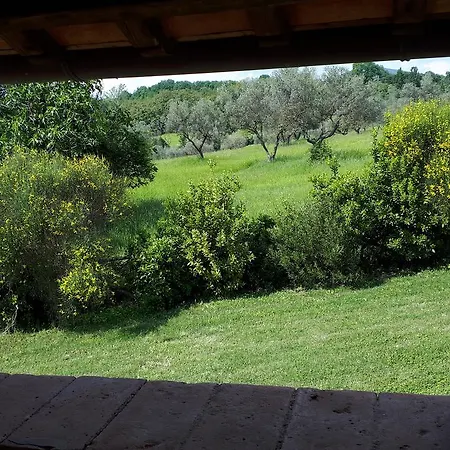 Casale Di Carsulae